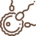 icon-fertilization